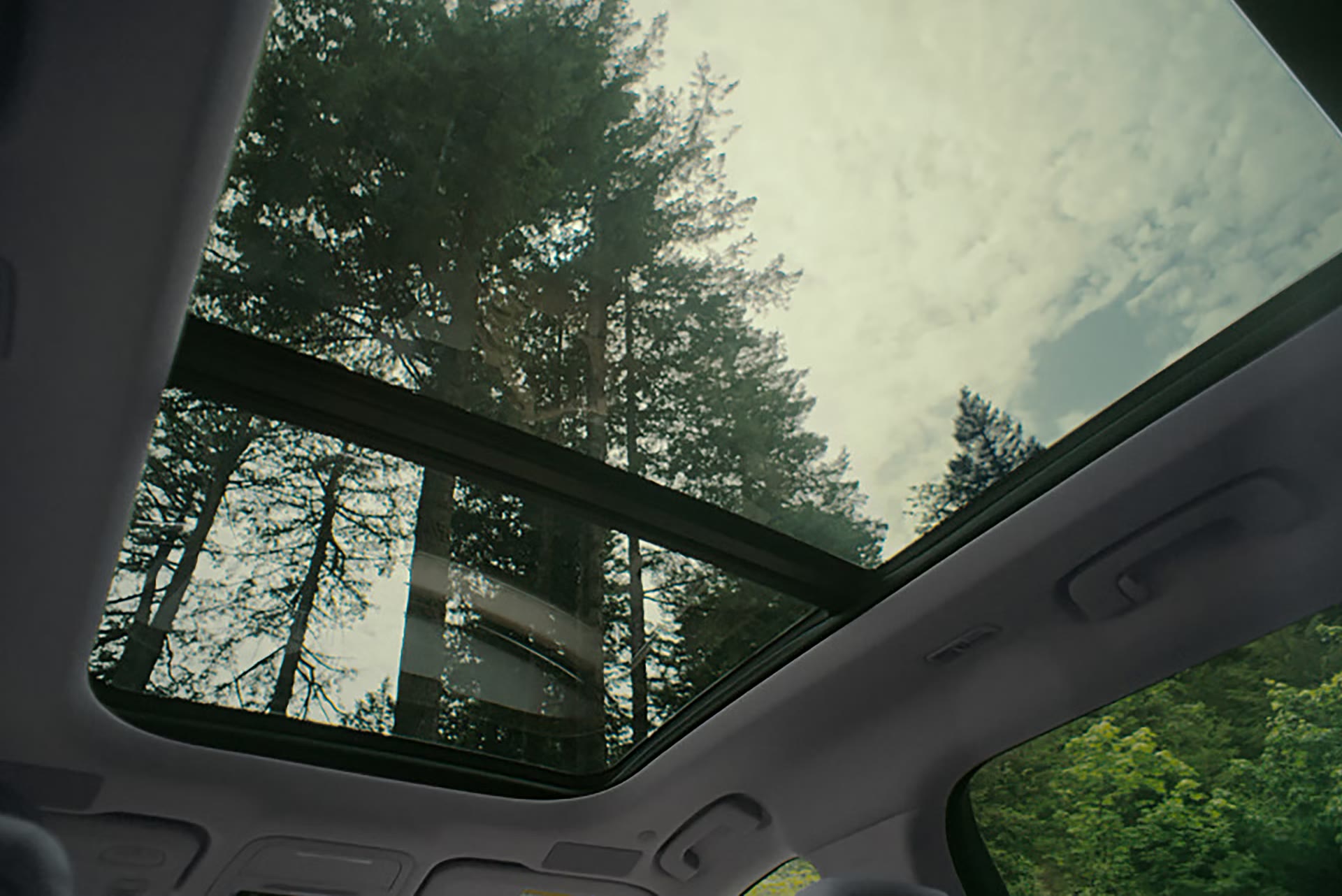 Panoramic Vista Roof